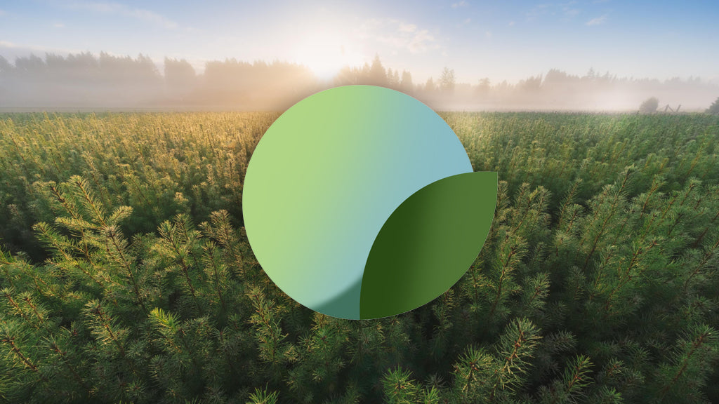 Our Carbon Neutral Commitment